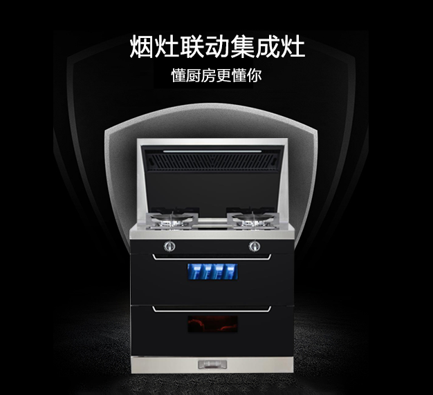 公司所生產(chǎn)銷(xiāo)售的燃?xì)庠罹弋a(chǎn)品，在行業(yè)里始終處于領(lǐng)先地位，也是灶具行業(yè)里比較突出的OEM制造企業(yè)
