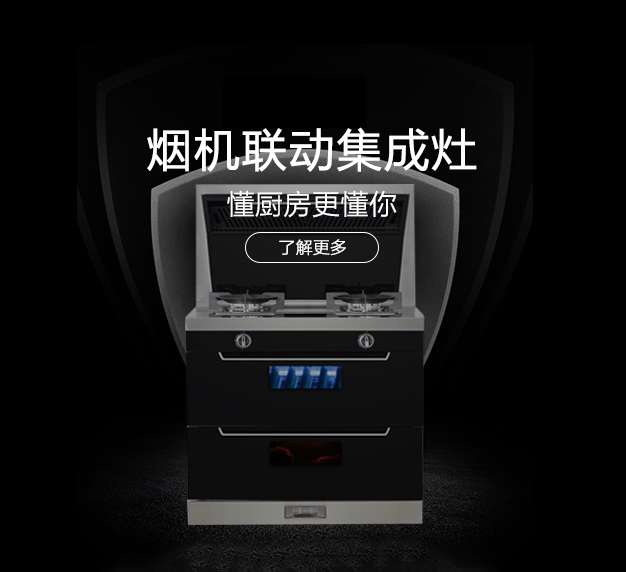 公司所生產(chǎn)銷(xiāo)售的燃?xì)庠罹弋a(chǎn)品，在行業(yè)里始終處于領(lǐng)先地位，也是灶具行業(yè)里比較突出的OEM制造企業(yè)